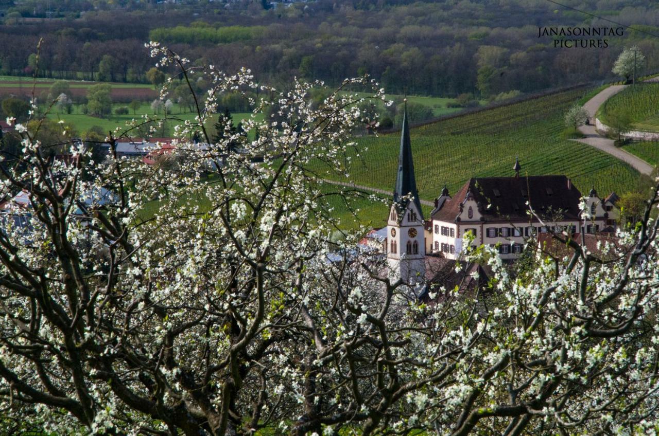 Apartment Schneeburg Ebringen Exterior photo