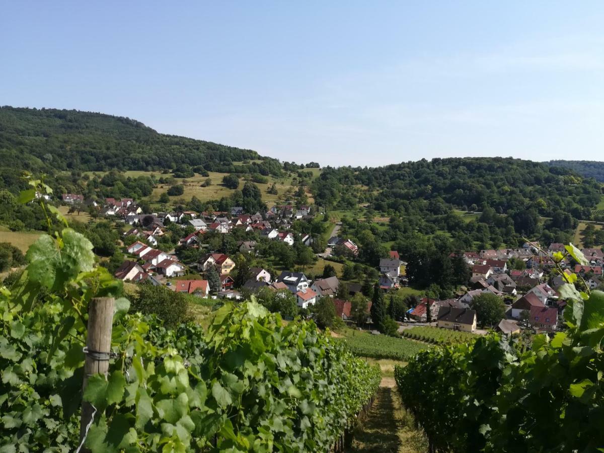Apartment Schneeburg Ebringen Exterior photo