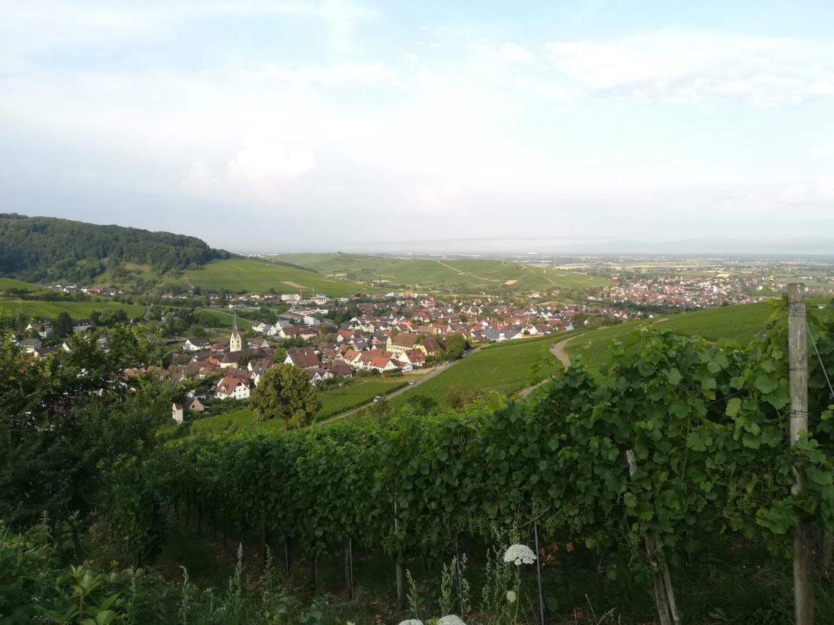Apartment Schneeburg Ebringen Exterior photo